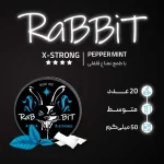 کیسه نیکوتین ربیت نعناع آبی با دوز 17 میلی گرم در هر کیسه - تصویر 2