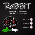 کیسه نیکوتین ربیت نعناع فلفلی با دوز 30 میلی گرم در هر کیسه - تصویر 2