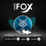 کیسه نیکوتین وایت فاکس نعناع با دوز 12 میلی گرم در هر کیسه - تصویر 2