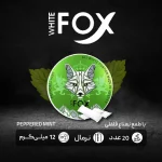 کیسه نیکوتین وایت فاکس نعناع فلفلی با دوز 12 میلی گرم در هر کیسه - تصویر 2