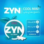 کیسه نیکوتین زین نعناع یخی با دوز 12 میلی گرم در هر کیسه - تصویر 2
