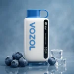 پاد یکبار مصرف استار وزول بلوبری 12000 پاف - تصویر 4
